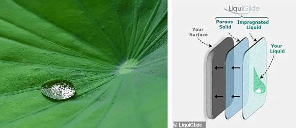 再也不用「挤牙膏」，高露洁换上的「润滑剂」包装，让牙膏从此一滴不剩