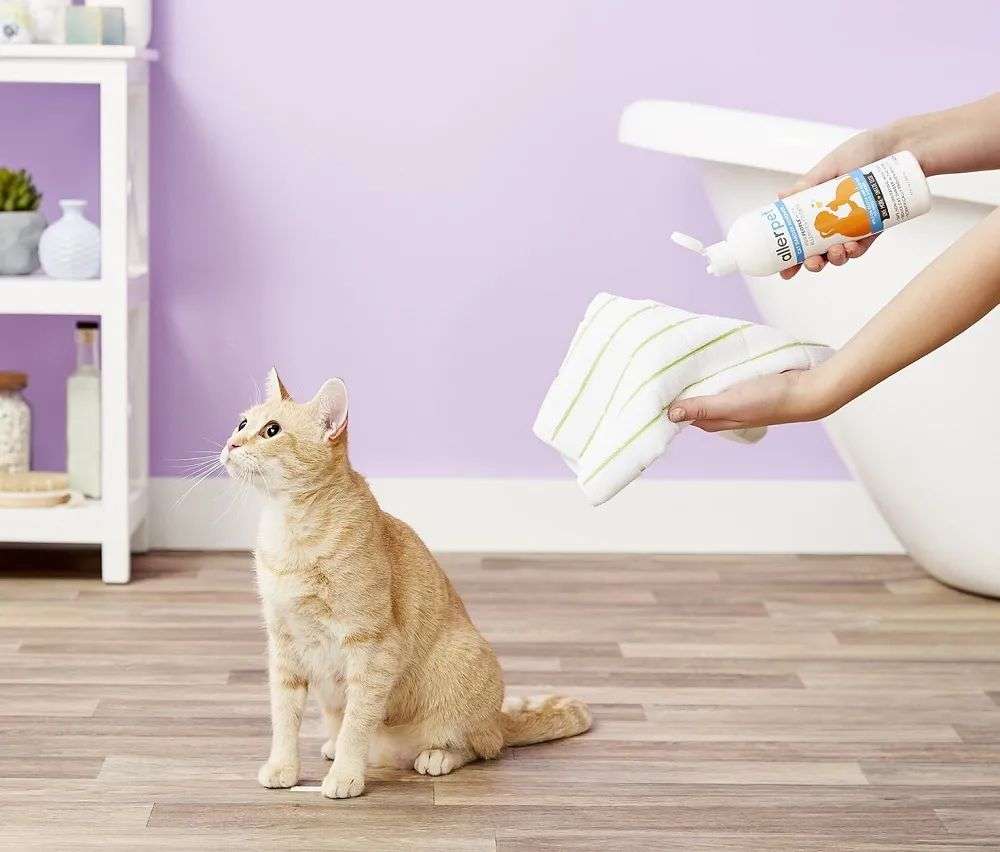 国内外巨头相继入局，宠物洗护品成为新的掘金赛道？