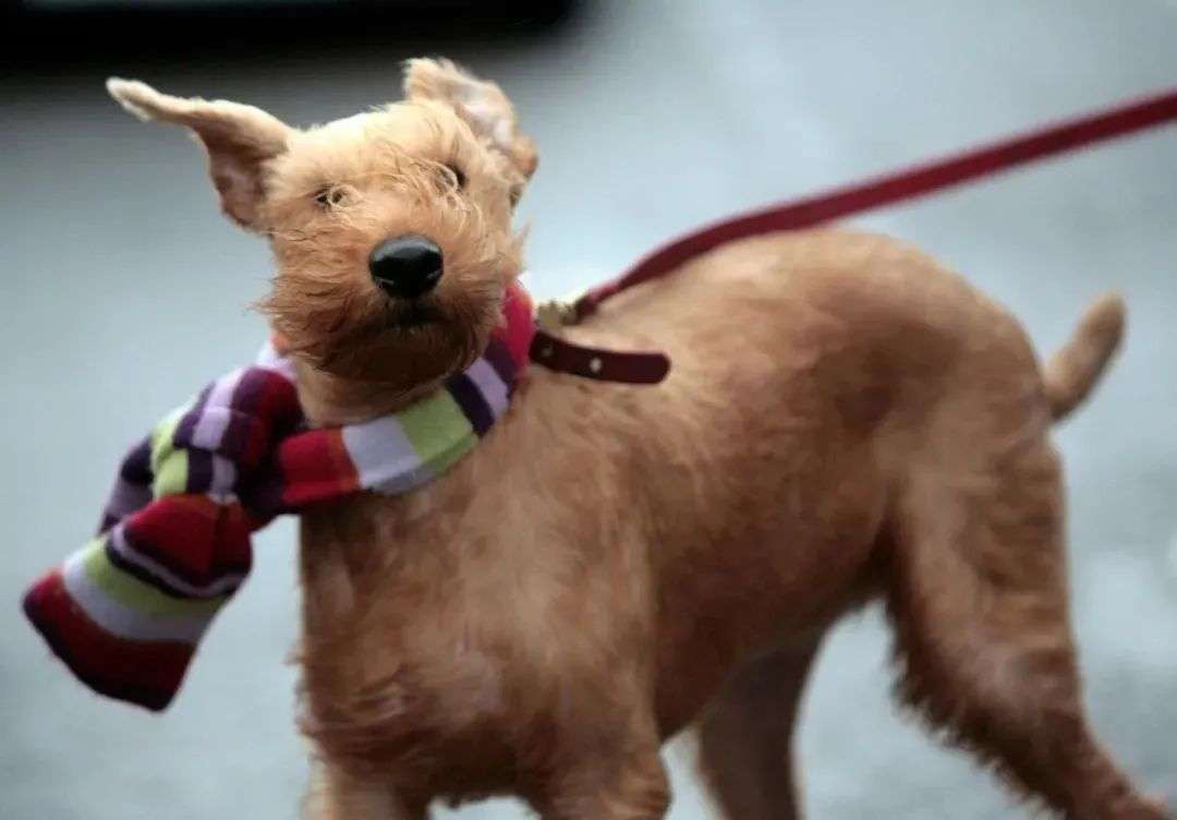 看一眼你的头发，就知道洗发水买错了